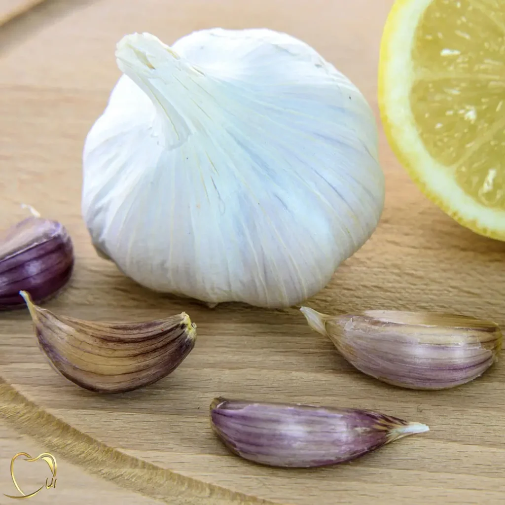 درمان عفونت دندان با سیر